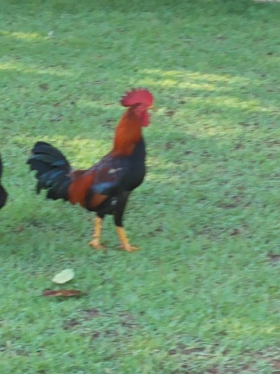 CHÁCARA RECANTO PARAISO (Ótima área de lazer)